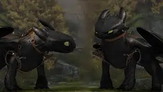 The NightFury's Story