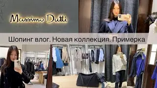 Шопинг влог Massimo Dutti / Обзор новой коллекции / Находки и примерка