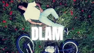 RWD - DLAM (Clip officiel)