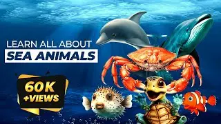Learn Sea Animal Names | Animals of the World | Fun Facts about Sea Animals | Kids Learning Animals