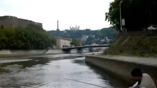 поймать карпа