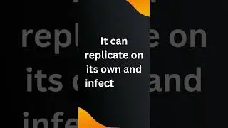 What is worm in Computers?