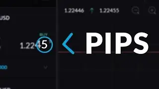 What is a Pip or Point | Trading Terms
