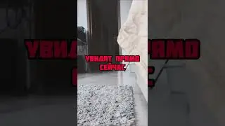 ПРОВЕРКА НА ИЗМЕНУ😰‼️СПАЛИЛ ЖЕНУ С БЫВШЕМ ЗА… Inst:sever1off 