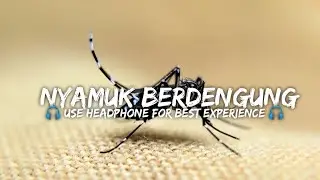 RELAKSASI SUARA DENGUNGAN NYAMUK DI TELINGA