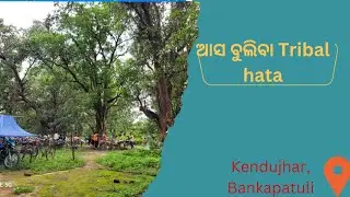Bankapatuli Hata Kendujhar |Tribal hata  #Keonjhar