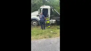 WATCH: Bianca Brown was among the first people to help the driver of the truck that hit the bridge.