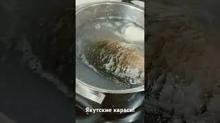 Самая вкусная рыба- якутский карась!