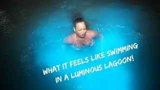 EXPLORING JAMAICA EPISODE 1: A Swim in the Luminous Lagoon