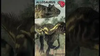 Allosaure - Un jour, Un dino