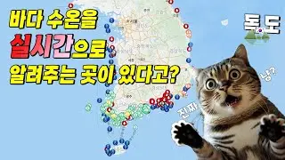 유료같은 공짜정보! 바다수온 휴대전화로 확인하고 떠나세요.