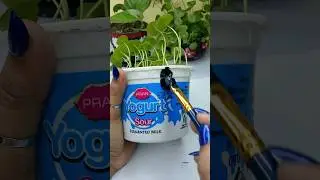Yogurt pot recycling Idea #shorts
