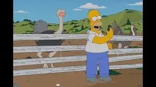 The Simpson - Ostrich World!