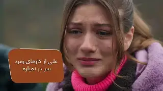 علی از کارهای زمرد سر در نمیاره