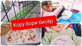 ТОРТПАЗИ, НОНПАЗИ, ЯК ХАФТА БОРОНИ УБОРКА, ХАМАШ ДАР ЯК ВЛОГ.....
