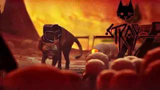 ЗУРКОВЫЙ ДОЖДЬ, ДОЖДЬ ИЗ ЗУРКОВ➢STRAY➤7