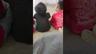 Menjadi Saksi presiden 😇