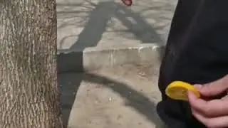 Дегустация домашнего абсента