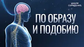 По образу и подобию 