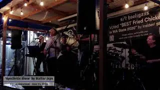 Apathetic Blues Clip - Stellar Jays live at Showboat - June 24, 2023