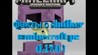 Факты о shulker minecraft pe 0.17.0 [ лаборатория ]