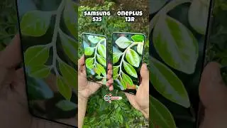 Samsung S25 Vs Oneplus 13R Camera Comparison 