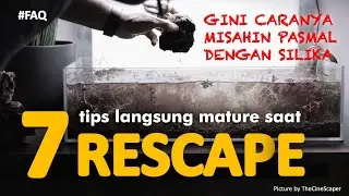MATURE RESCAPE - 7 Tips for Success