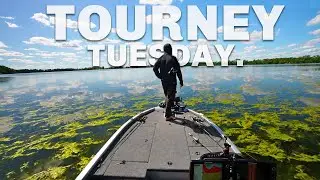 TOURNEY TUESDAY IS BACK! (Horrific Flooding & Storms)