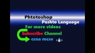 How to Copy Stamp in Photoshop