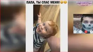Приколы