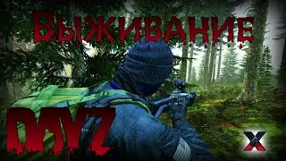 Выживание - DayZ