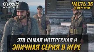 Покажи, на что ты годен ➤ Days Gone Прохождение ( Жизнь После ) ➤ #36