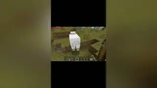 Wenn ich in Minecraft Schaden bekomme endet das VIEDEO