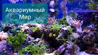 Магазин 
