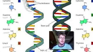 Biological Molecules