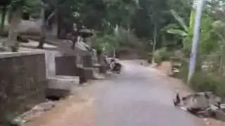 SAMUDRA KULON - SOKANANDI
