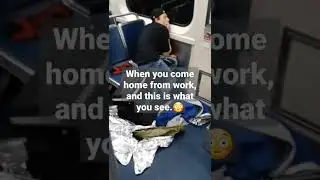 the Streets of Kensington- man high on train