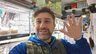 Ci vediamo presto.....