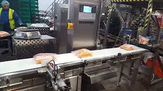 Bizerba CWE checkweigher havuç paketi