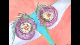 Fuzzy Art slideshow 12 ¯\_(ツ)_/¯
