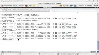 Taking User Managed Complete OFFLINE backup of Oracle 11g database