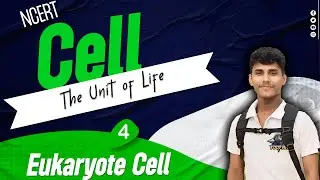 🔴 Cell - The Unit of Life • NCERT Explanation