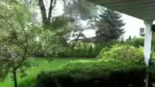 Hurricane Irene august 28 2011