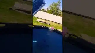 7 августа 2024 г.