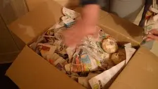 Как и где хранить гладиолусы зимой