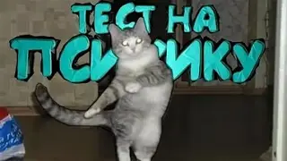 ТЕСТ НА ПСИХИКУ, ПОПРОБУЙ НЕ ЗАСМЕЯТЬСЯ , а ты все равно засмеешься