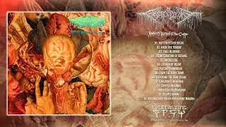 FesterDecay - Reality Rotten To The Core LP FULL ALBUM (2023 - Goregrind)