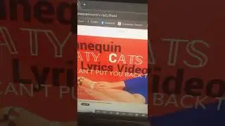 mannequin katy perry short cover