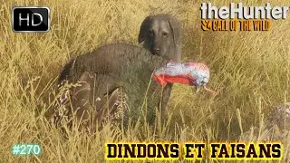 THE HUNTER CALL OF THE WILD #270 UNE NOUVELLE CHASSE AUX DINDONS ET FAISANS SUR RANCHO DEL ARROYO !