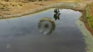 ZALAMEA LA REAL (PAISAJES BUCÓLICOS) - HUELVA